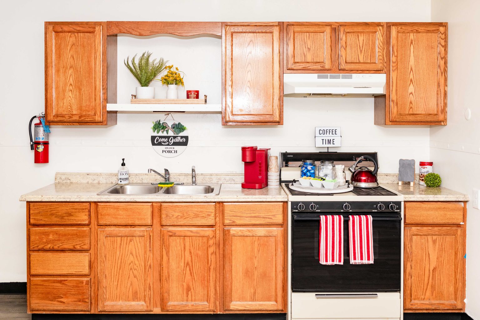 Smoketree Photos 2023